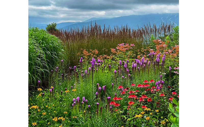 Mad River Valley Arts Garden Party and Tour