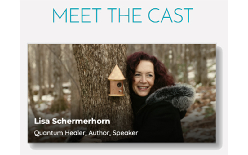 Lisa Schermerhorn - Zero Limits