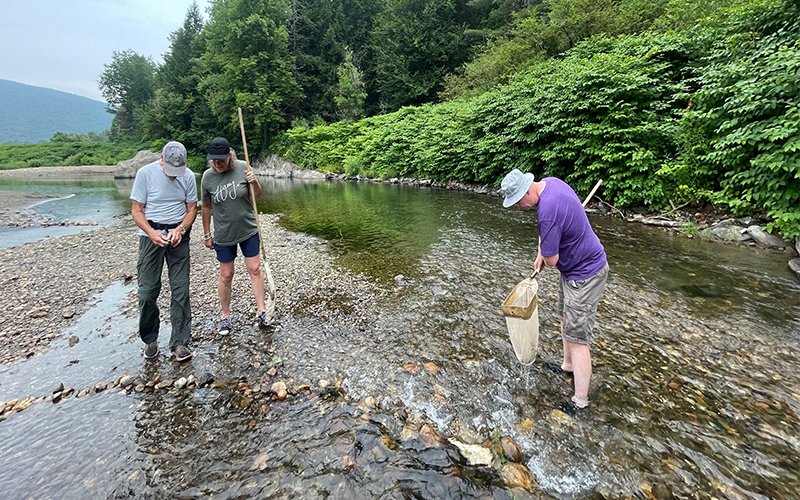 Declan McCabe (right), professor of biology at St. Michael's College, collects benthic macroinvertebrates with a net - Photo by Luke Foley