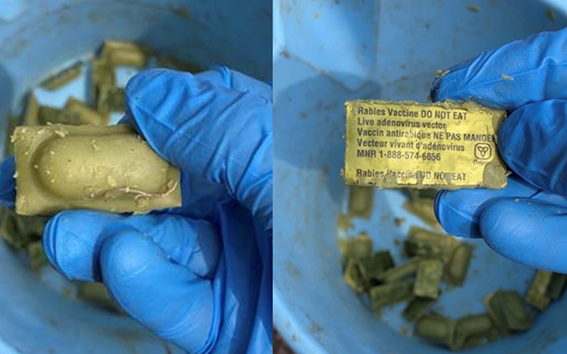 Rabies Vaccine Drop
