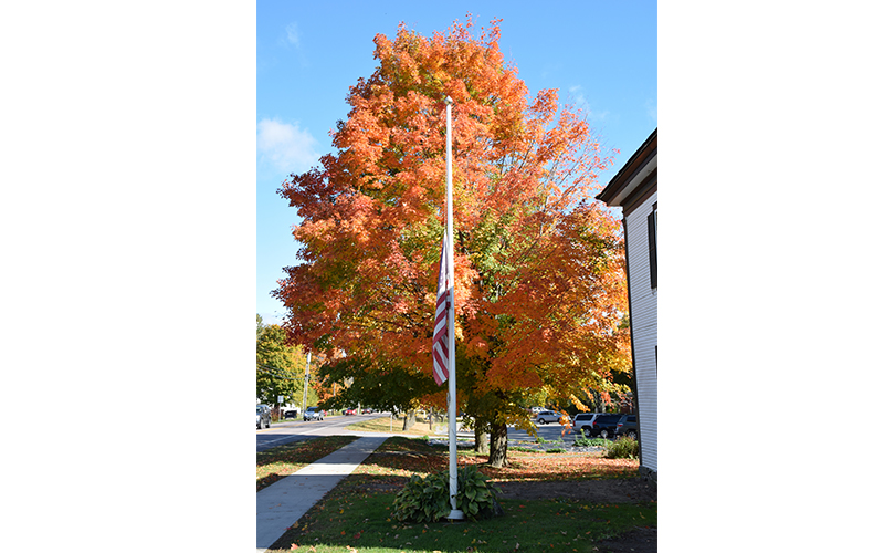 Flag