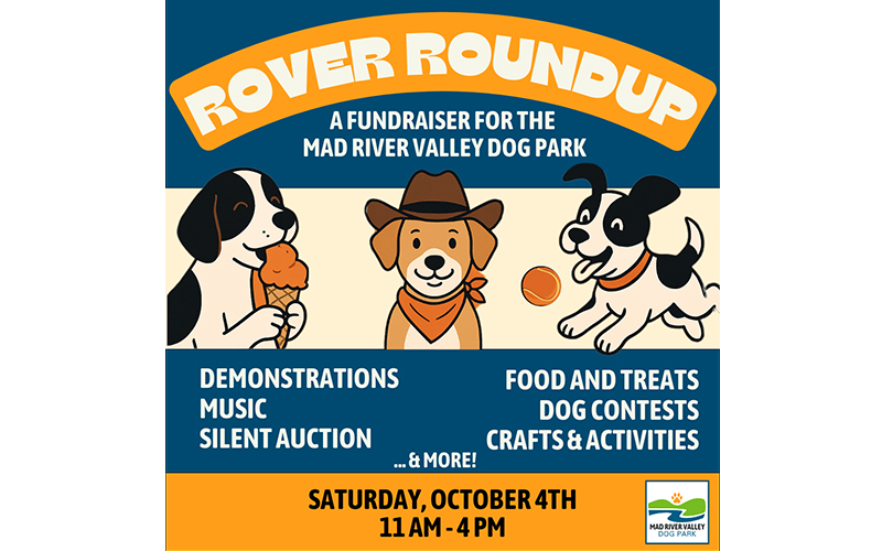 Rover Round Up