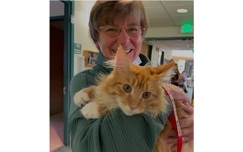 Toby the Therapy Cat