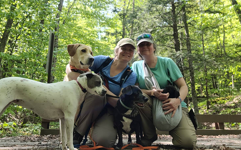 Central Vermont Canine Recovery