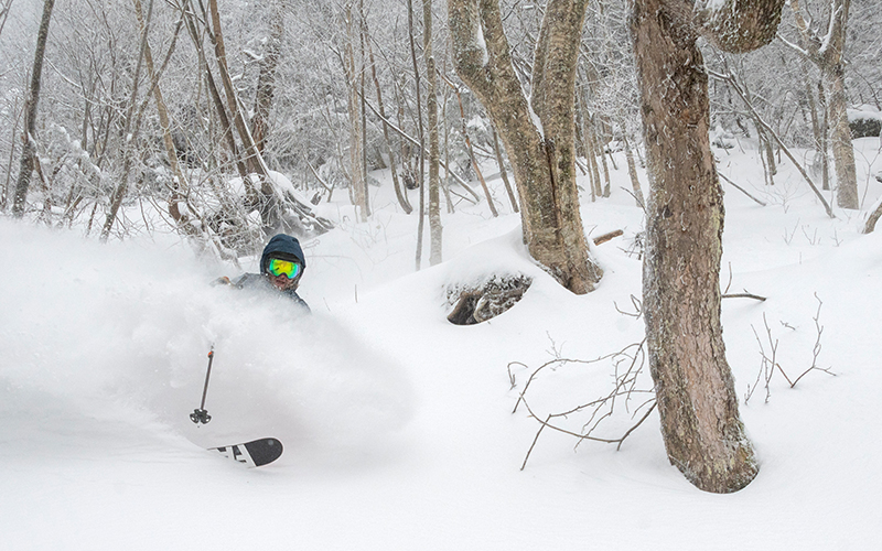 Aidan Casner skis fresh powder- Photo jeb Wallace Brodeur