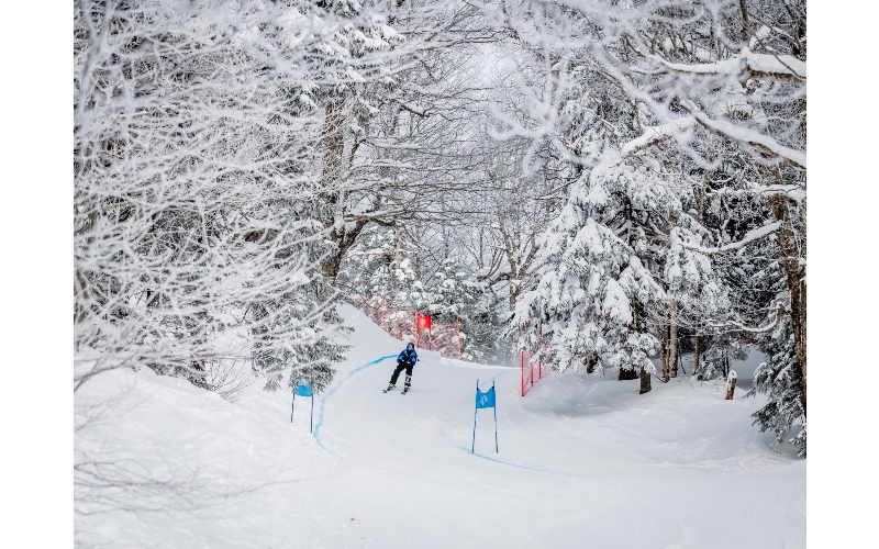 kandahar - photos courtesy of MRG