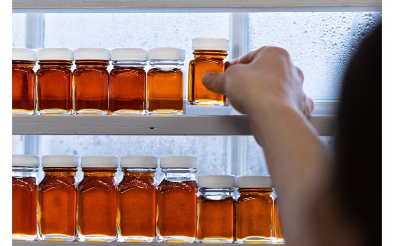 Vermont maple syrup are displayed at Bourdon Maple Farm in Woodstockby Vermont Agency of Agriculture, Food & Markets
