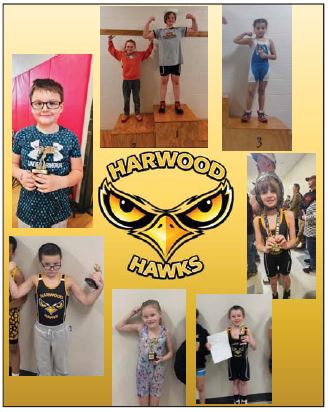 Harwood Hawks