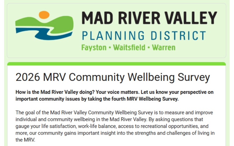 Wellness Survey