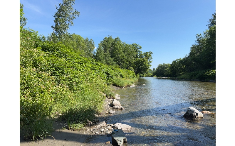 Wabanaki Upstream
