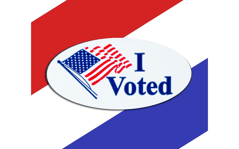 I voted