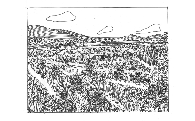 5617KeithToon 001