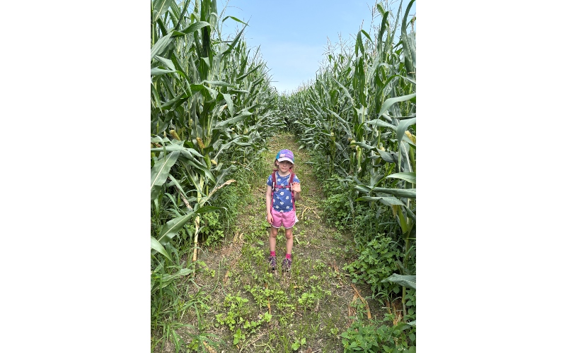  Lillasandra Lyford in Corn Maze