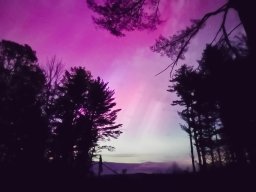 Aurora May 2024