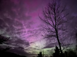 Aurora May 2024