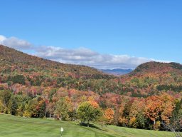 Foliage photos from Issue 5427