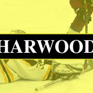 Harwood boys’ hockey team nabs wins, first downhill ski race of the season