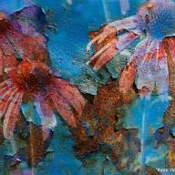 The Waitsfield United Church of Christ arts team presents a Lenten art show, “Vision Layers”