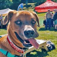SIPtemberfest announces new “pawtnership” with For the Love of Dogs