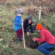 Volunteers plant tree saplings at three Valley sites