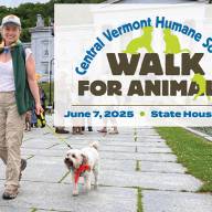 Move those paws for a four-legged cause