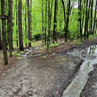 Local trails damaged by weekend deluge, riders asked to stay away for now