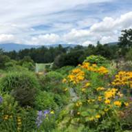 Open gardens at von Trapps