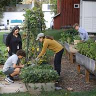 Harwood Union celebrates Harvest Fest next week