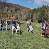 Living Tree Alliance partners with students for service learning and science education.