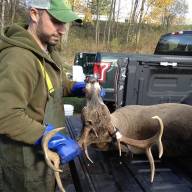 Vermont Wildlife officials are asking for deer teeth