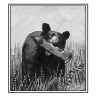 Burgeoning black bear populations