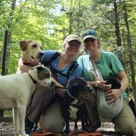 Central Vermont Canine Recovery brings science, strategy, and compassion to lost dogs