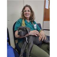 Veterinarian heads to Asia for another volunteer mission