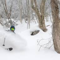 Along the Fall Line - Fine Toons