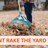 Don&rsquo;t rake the yard yet, it&rsquo;s too early