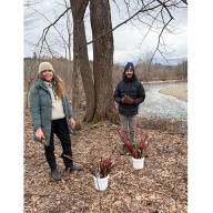 Rooted in community: help restore local streambanks
