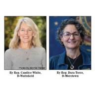 Representatives White and Torre vote yes on education reform bill