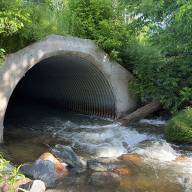 Mad River Watch: Patterns in bacterial and nutrient loading&nbsp;