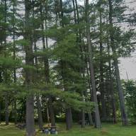 Pines rest area overhaul moves ahead with town–stewardMRV partnership