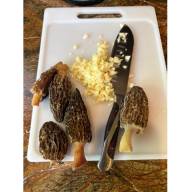 Fresh pasta with morels and garlic