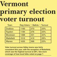 Voter Turnout